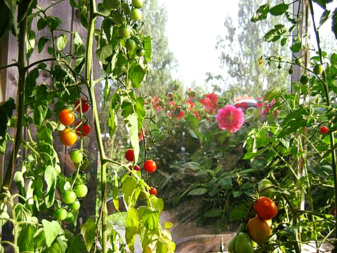 Nu är bloggen snart igång